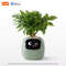 Smart AI Planter With LED Expressions And Sensors For Easy Fun Plant Care 10