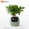 Smart AI Planter With LED Expressions And Sensors For Easy Fun Plant Care 10