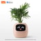 Smart AI Planter With LED Expressions And Sensors For Easy Fun Plant Care 2