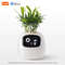 Smart AI Planter With LED Expressions And Sensors For Easy Fun Plant Care 5