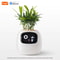Smart AI Planter With LED Expressions And Sensors For Easy Fun Plant Care 5