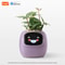 Smart AI Planter With LED Expressions And Sensors For Easy Fun Plant Care 6