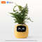 Smart AI Planter With LED Expressions And Sensors For Easy Fun Plant Care 9