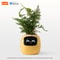 Smart AI Planter With LED Expressions And Sensors For Easy Fun Plant Care 9