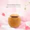 USB Mini Wood Grain Aroma Diffuser And Air Purifier 7