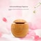 USB Mini Wood Grain Aroma Diffuser And Air Purifier 7