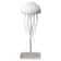 Cartoon Dancing Jellyfish Night Light RGB Gradient LED Lamp With Voice Control And TypeC Charging 4