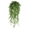 354 Inches Hanging Persian Fern Vines For Home And Event Decor 4