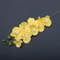 Artificial Orchid Flower Stem For Home And Event Decoration 7