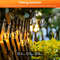 Solar G40 String Lights For Outdoor Patio And Backyard Lighting 4