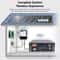 HighCapacity 48V LiFePO4 Battery Pack For Home Backup Power And Solar Storage 8