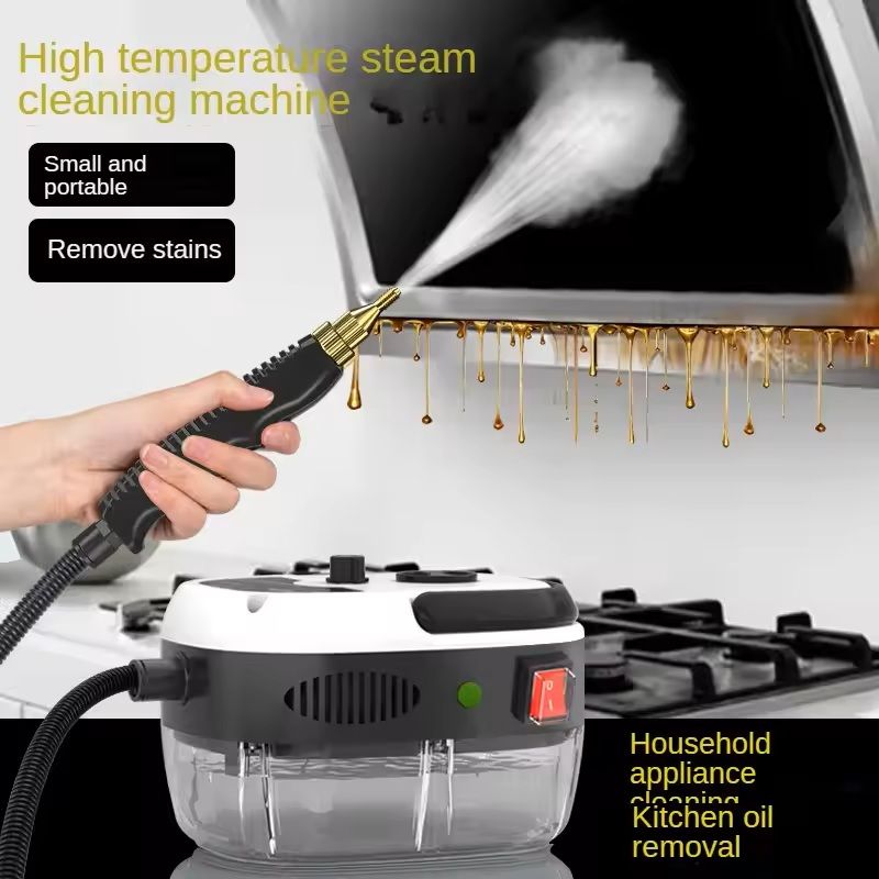 High Temperature Steam Cleaner For Kitchen And Car Deep Cleaning 0