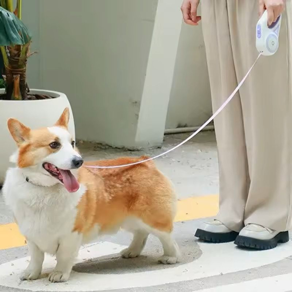 Retractable Dog Leash With LED Flashlight And Night Glow 5