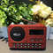 Mini FM Radio With Bluetooth Speaker And LED Display 8