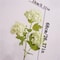 Real Touch Hydrangea Flower Branch With Green Leaves For Home And Wedding Decor 6