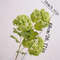 Real Touch Hydrangea Flower Branch With Green Leaves For Home And Wedding Decor 7