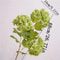 Real Touch Hydrangea Flower Branch With Green Leaves For Home And Wedding Decor 7