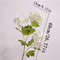 Real Touch Hydrangea Flower Branch With Green Leaves For Home And Wedding Decor 5