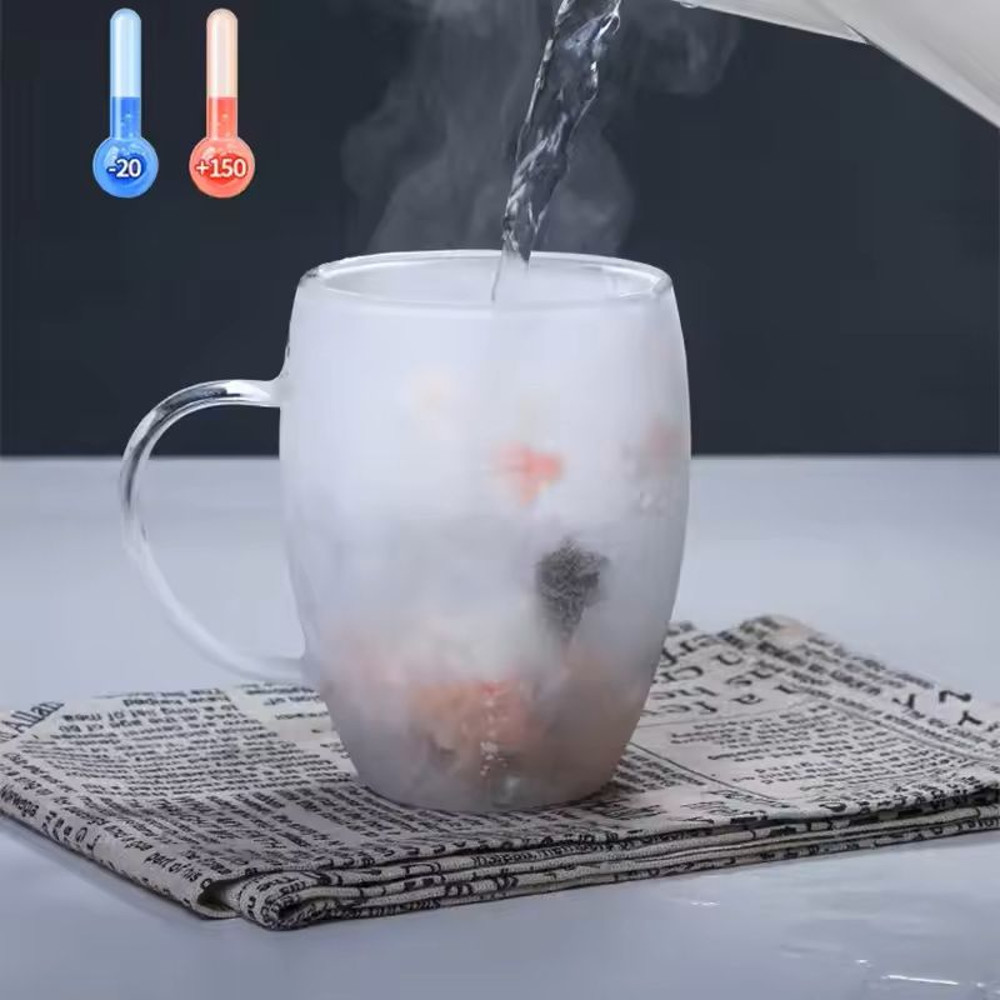 Double Wall Glass Coffee Mug With Handle 2