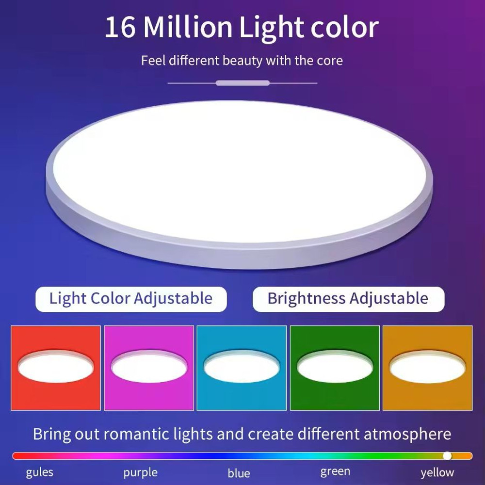 Smart WiFi LED Ceiling Light With App And Voice Control 24W Round Panel Lamp 6