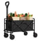 Foldable Utility Wagon Cart Portable Outdoor Camping Trolley 0