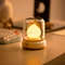 Kerosene Style LED Night Light USB Rechargeable Flameless Table Lamp 6