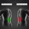 Lumbar Traction Pulse Therapy Belt With Heat And Vibration For Back Pain Relief 3