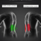Lumbar Traction Pulse Therapy Belt With Heat And Vibration For Back Pain Relief 3