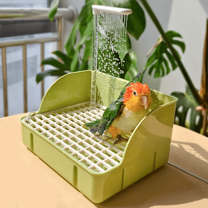Electric Bird Bathing Basin With Automatic Water Circulation 1