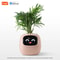 Smart Planter With AI Expressions And Sensors For Easy Plant Care 6