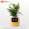 Smart Planter With AI Expressions And Sensors For Easy Plant Care 7