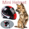 Mini Pet Helmet For Cats And Dogs Safety Photo Prop 6