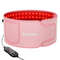 Red Light Therapy Belt For Fat Loss And Pain Relief With 100 LEDs 0
