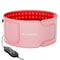 Red Light Therapy Belt With 100 LEDs For Fat Loss And Pain Relief 0