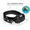 Electric Dog Training Collar With Remote Waterproof Rechargeable 4
