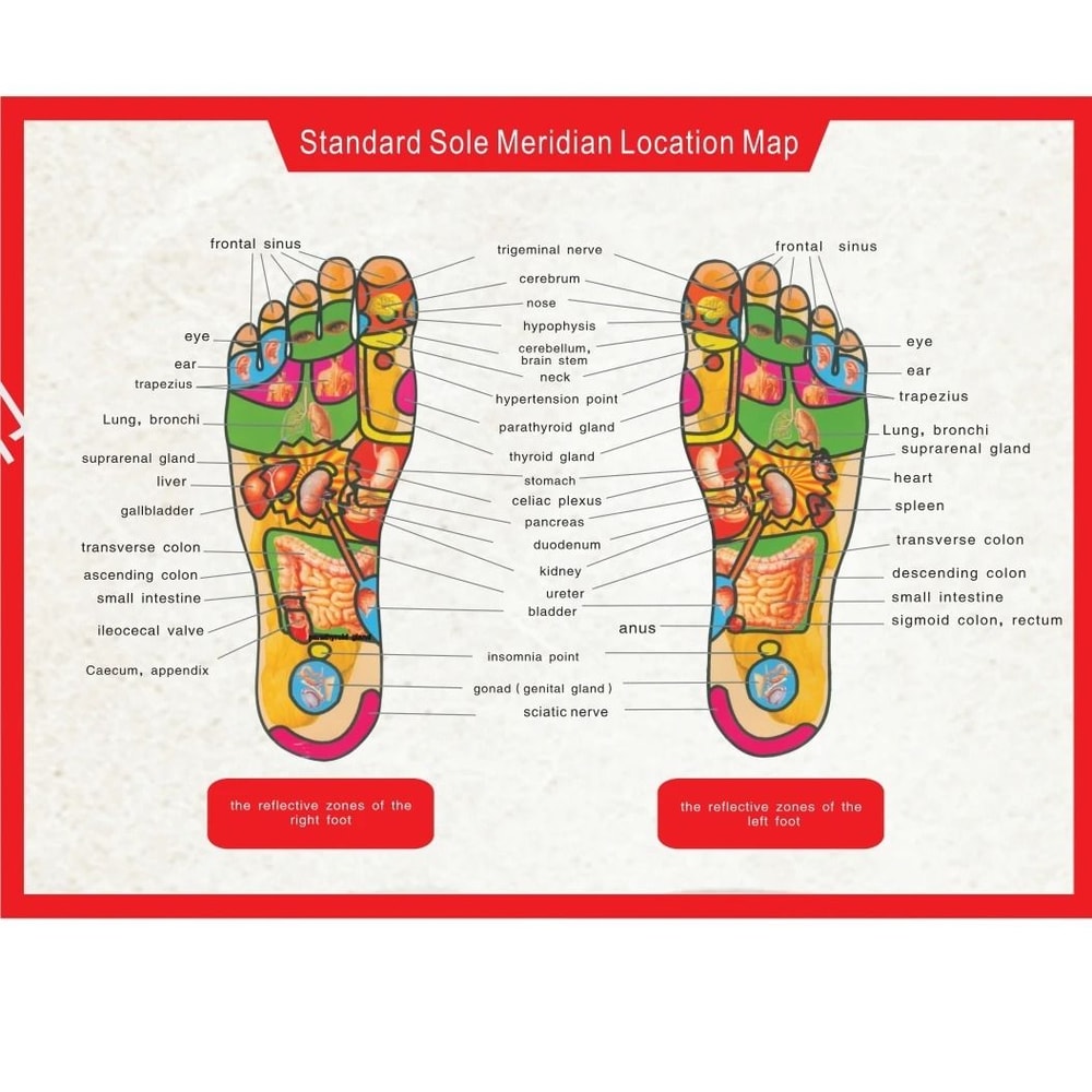 Rechargeable Foot Massage Mat For Circulation Muscle Relief And Slimming 6