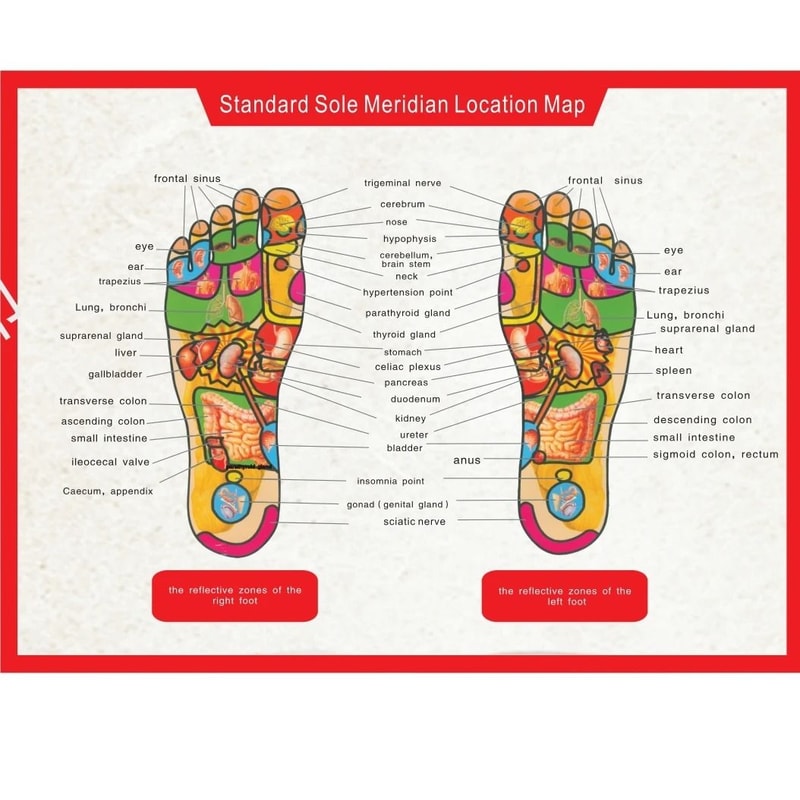 Rechargeable Foot Massage Mat For Circulation Muscle Relief And Slimming 6