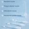 Portable Ultrasonic Oral Irrigator For Deep Teeth Cleaning 4