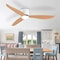 Modern LED Ceiling Fan With 6 Speed Settings And Light Strip 2