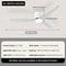 Modern LED Ceiling Fan With 6 Speed Settings And Light Strip 8