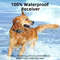 Electric Dog Training Collar With Remote And Waterproof Design 2