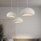 Nordic Minimalist Wabi Sabi LED Pendant Light For Dining Bedroom And Home 4