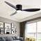 42 And 52 Inch Ceiling Fan With LED Light And Remote Control 6