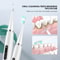Electric Dental Scaler With Extra Heads Option For Tartar And Plaque Removal 4