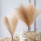 Artificial Pampas Grass Decorative Stems For Home And Event Arrangements 3