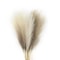 Artificial Pampas Grass Decorative Stems For Home And Event Arrangements 6