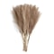 Artificial Pampas Grass Decorative Stems For Home And Event Arrangements 8