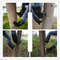 Tree Climbing Spikes With Optional Hook Attachment 4