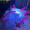 DIY Model Lizard Bedside Night Light With 5 Color Modes 4