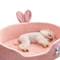 Soft Detachable Pet Bed For Dogs And Cats Washable Comfortable And Warm For All Seasons 5